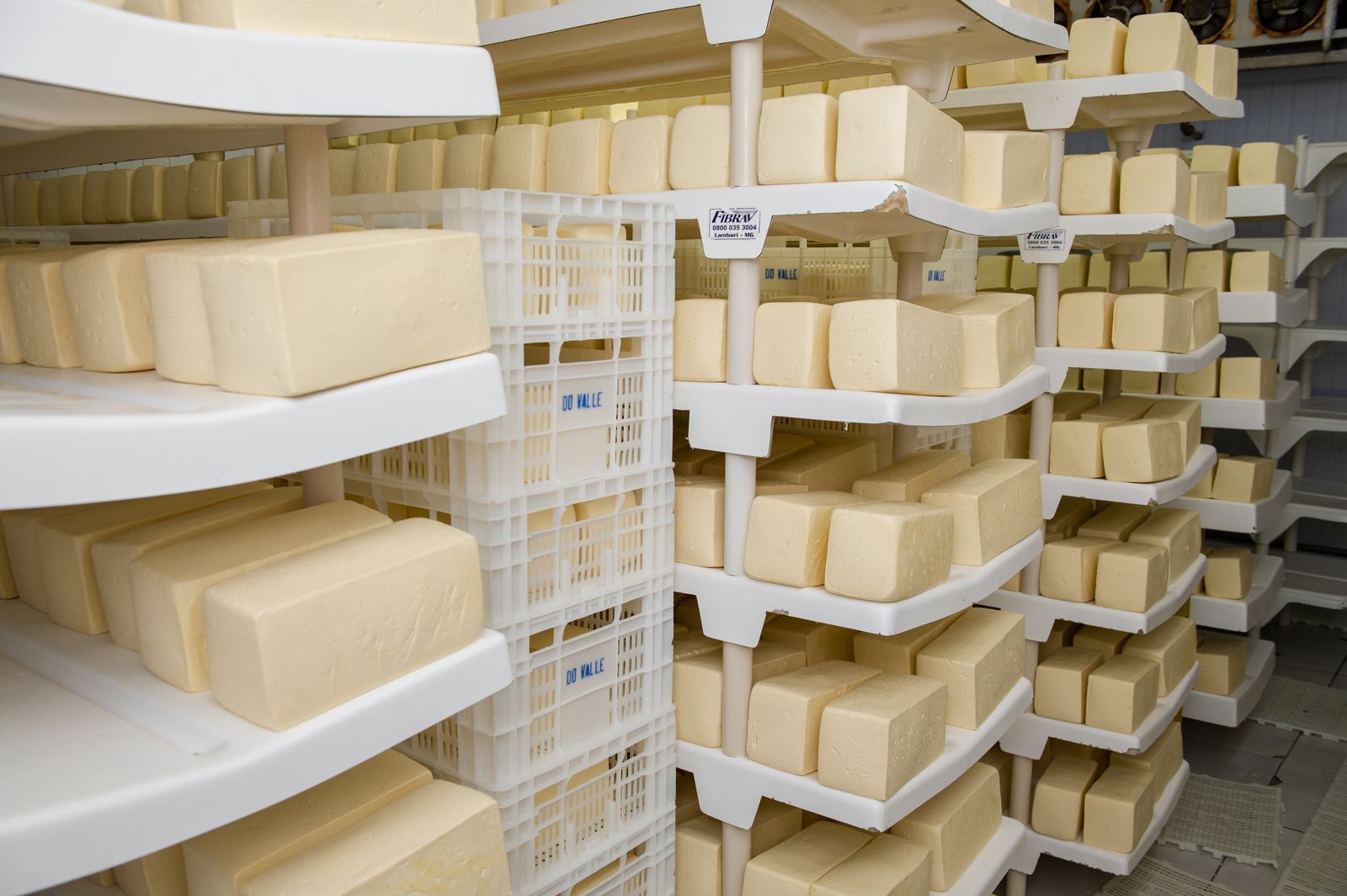 Peças de queijo organizadas em prateleiras, rastreáveis do lote até a expedição.