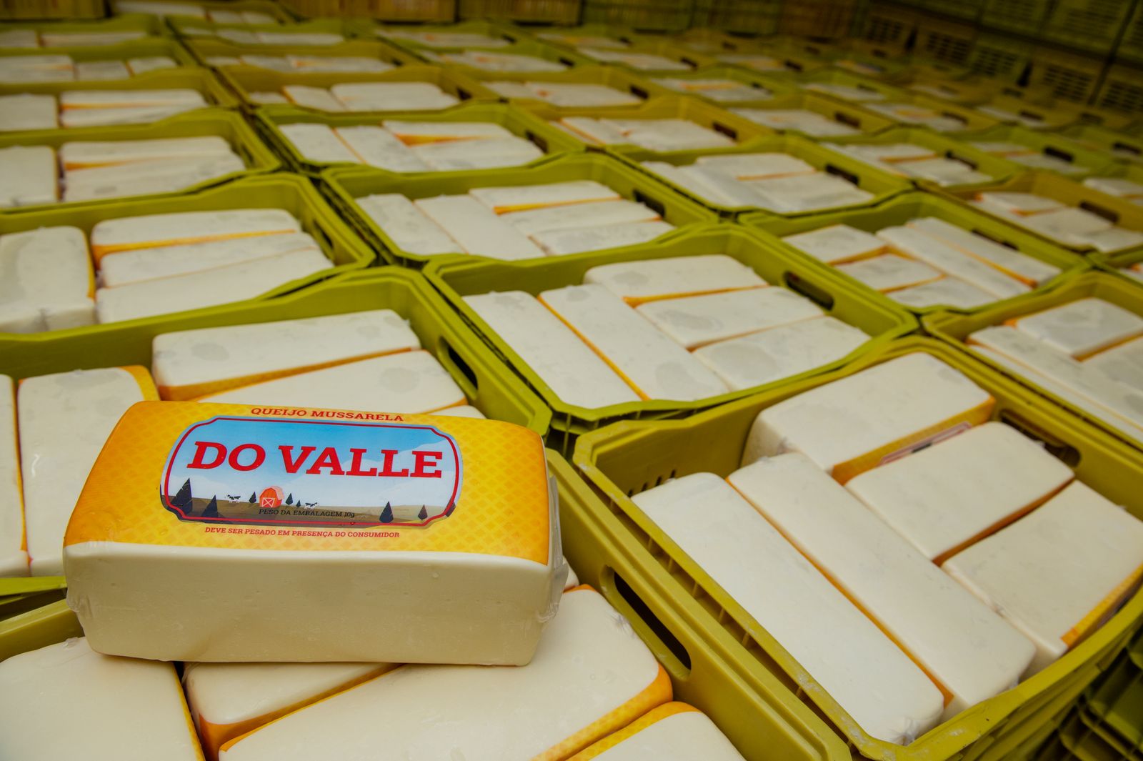 Blocos de queijo embalados e organizados para distribuição, dentro do padrão de rastreabilidade da Do Valle.
